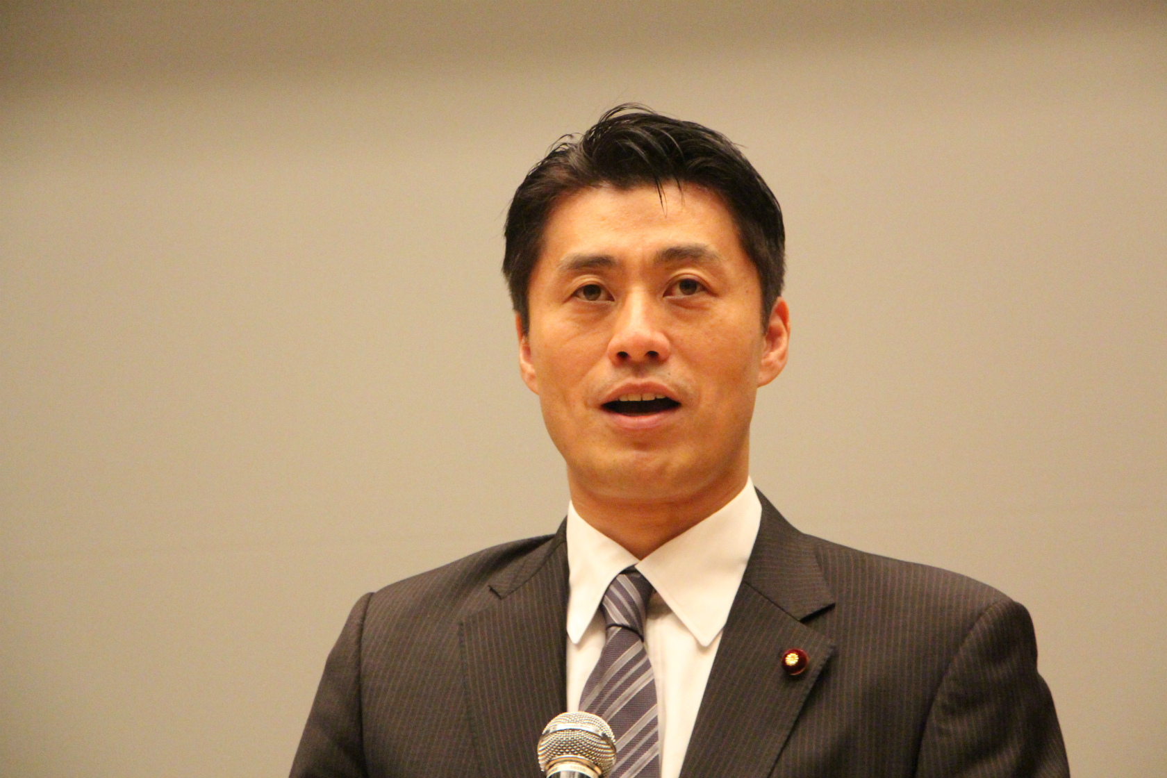 国会情勢報告をする細野民主党政調会長